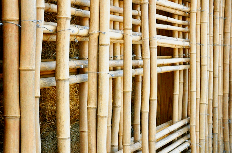 africa_afrique_forêt_forest_deforestation_sustainable__wood_bois_culture_agriculture_asia_asie_china_chine_india_inde_vietnam_laos_bali_development_architecture_house_moso_bambou_bamboo_bambu_bambusa_développement_durable_cop_21